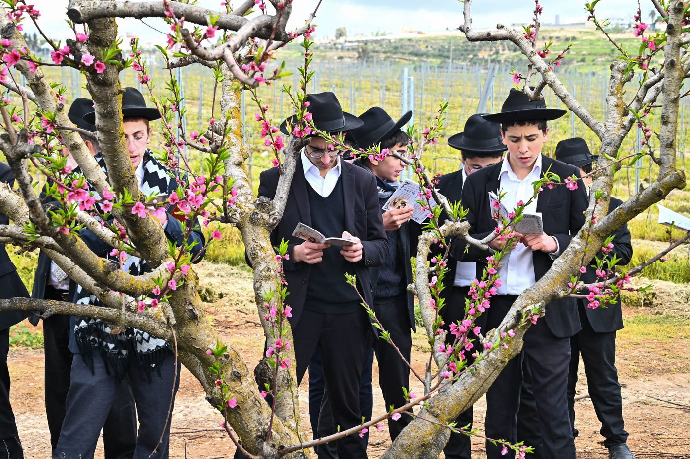 תושבי בני ברק בברכת האילנות