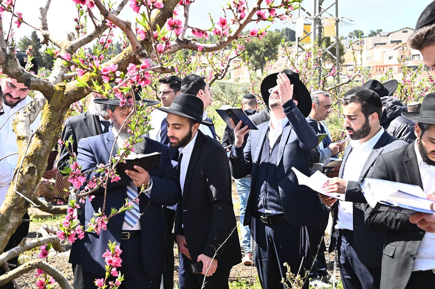 תושבי בני ברק בברכת האילנות