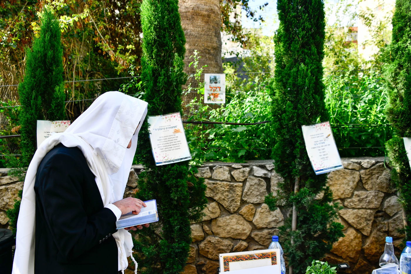 תושבי בני ברק בברכת האילנות