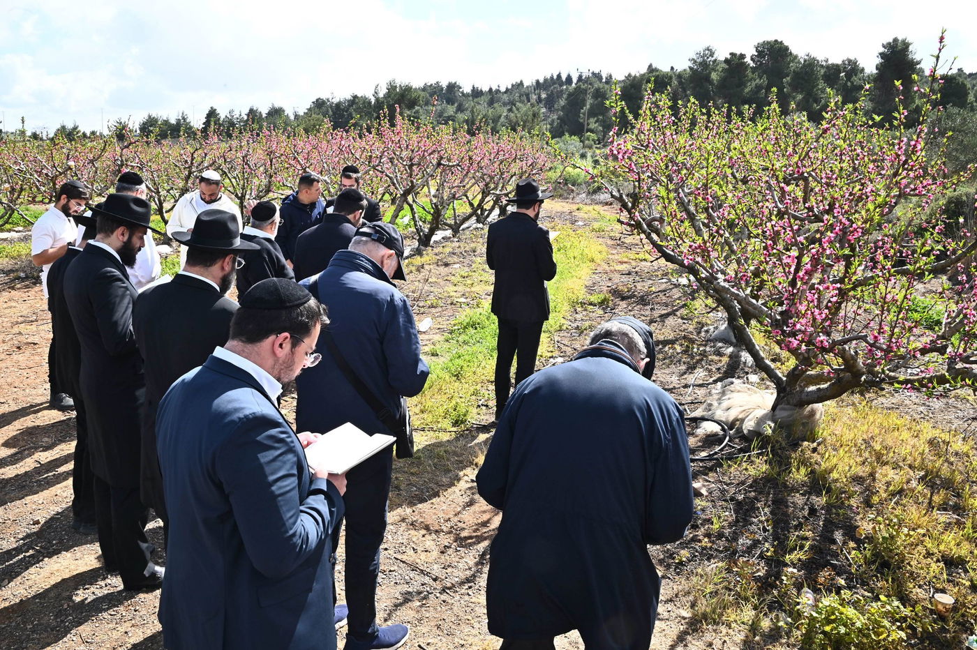 תושבי בני ברק בברכת האילנות