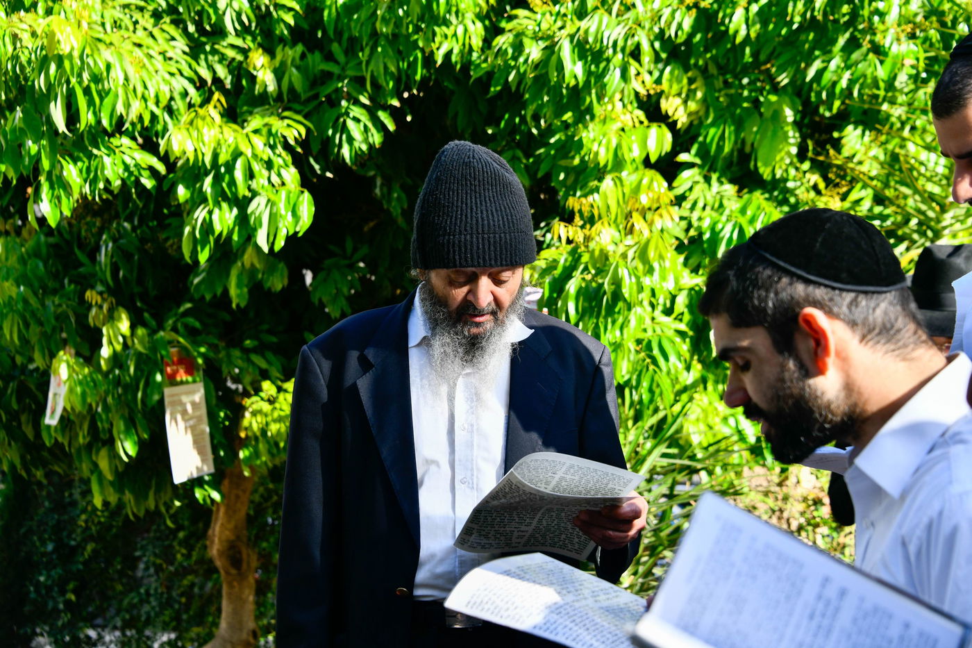 תושבי בני ברק בברכת האילנות