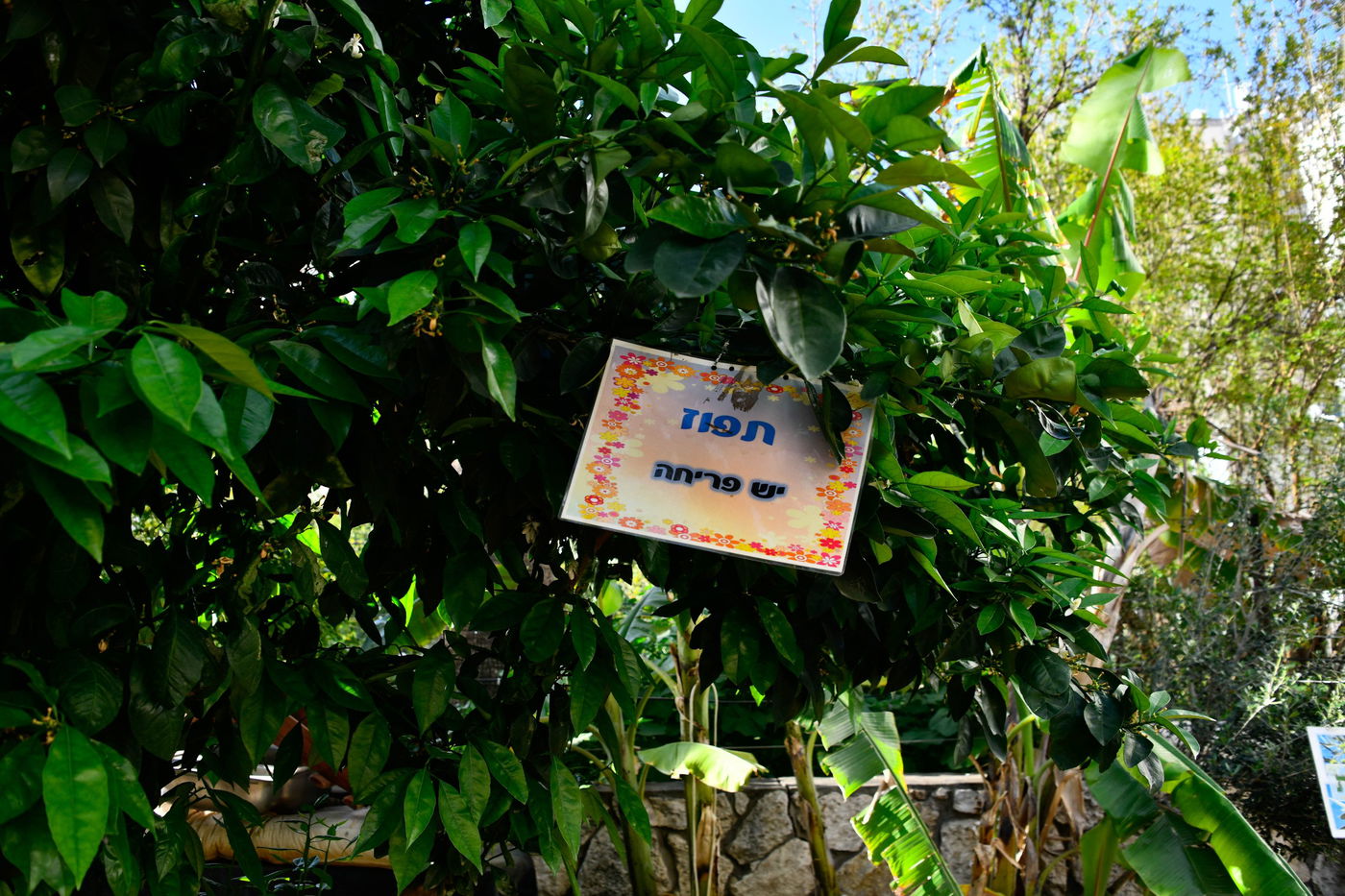 תושבי בני ברק בברכת האילנות