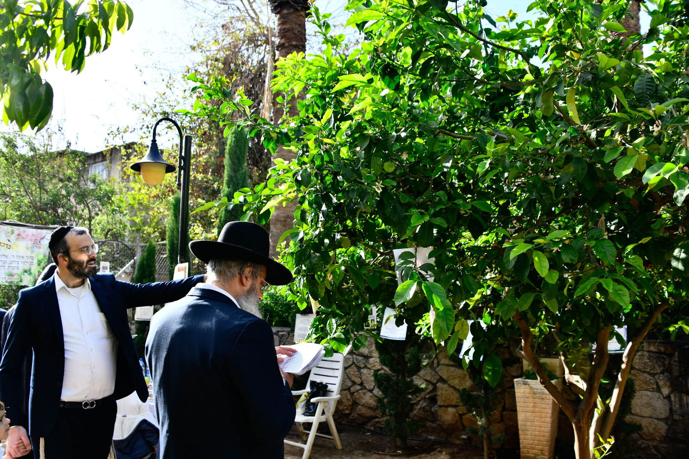 תושבי בני ברק בברכת האילנות
