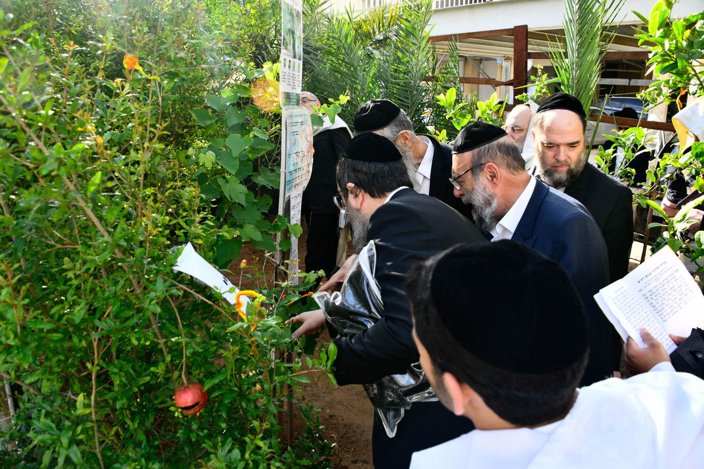 תושבי בני ברק בברכת האילנות