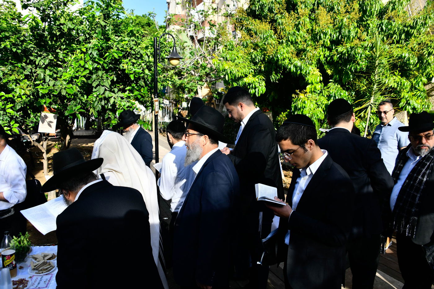 תושבי בני ברק בברכת האילנות