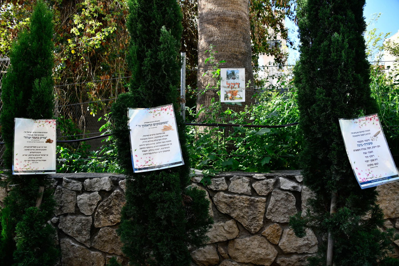 תושבי בני ברק בברכת האילנות