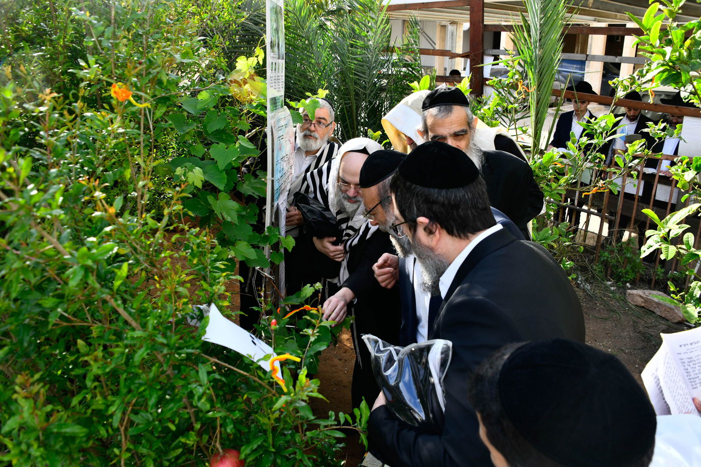 תושבי בני ברק בברכת האילנות