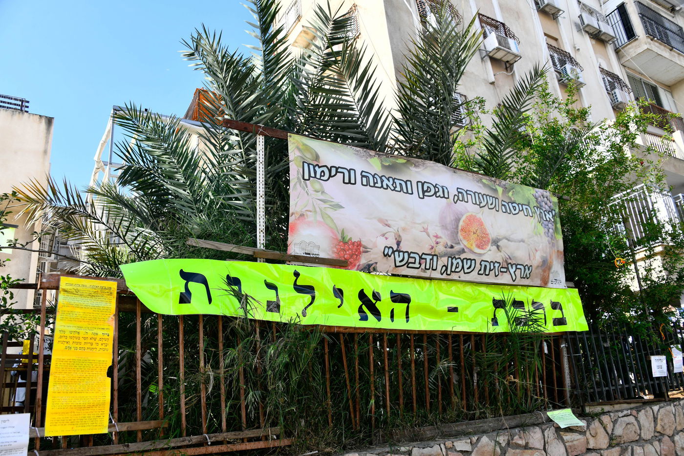 תושבי בני ברק בברכת האילנות