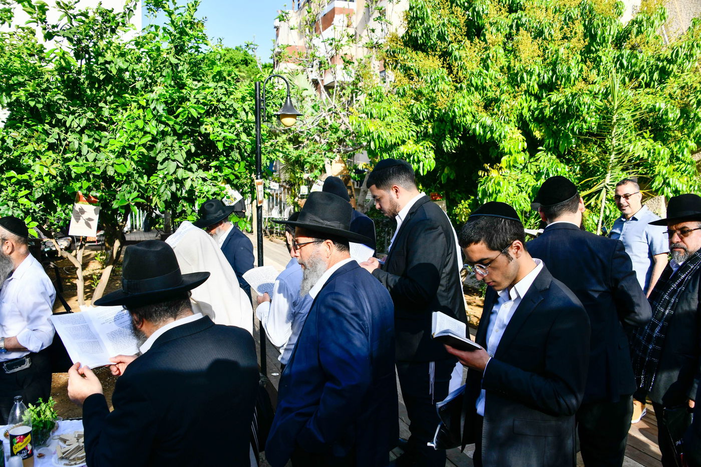 תושבי בני ברק בברכת האילנות