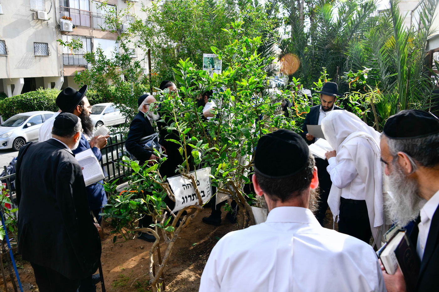 תושבי בני ברק בברכת האילנות