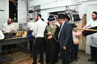 הראשל"צ הגאון רבי יצחק יוסף באפיית מצות