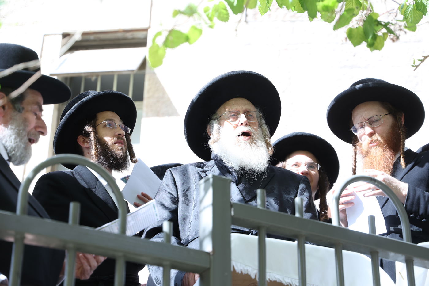 האדמו"ר מקומרנא בברכת האילנות