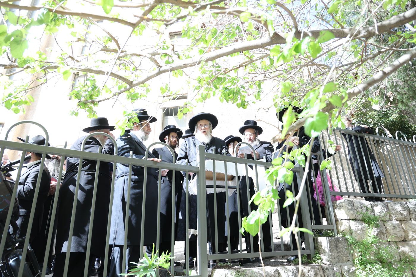 האדמו"ר מקומרנא בברכת האילנות