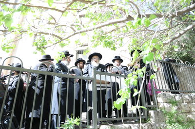 האדמו"ר מקומרנא בברכת האילנות