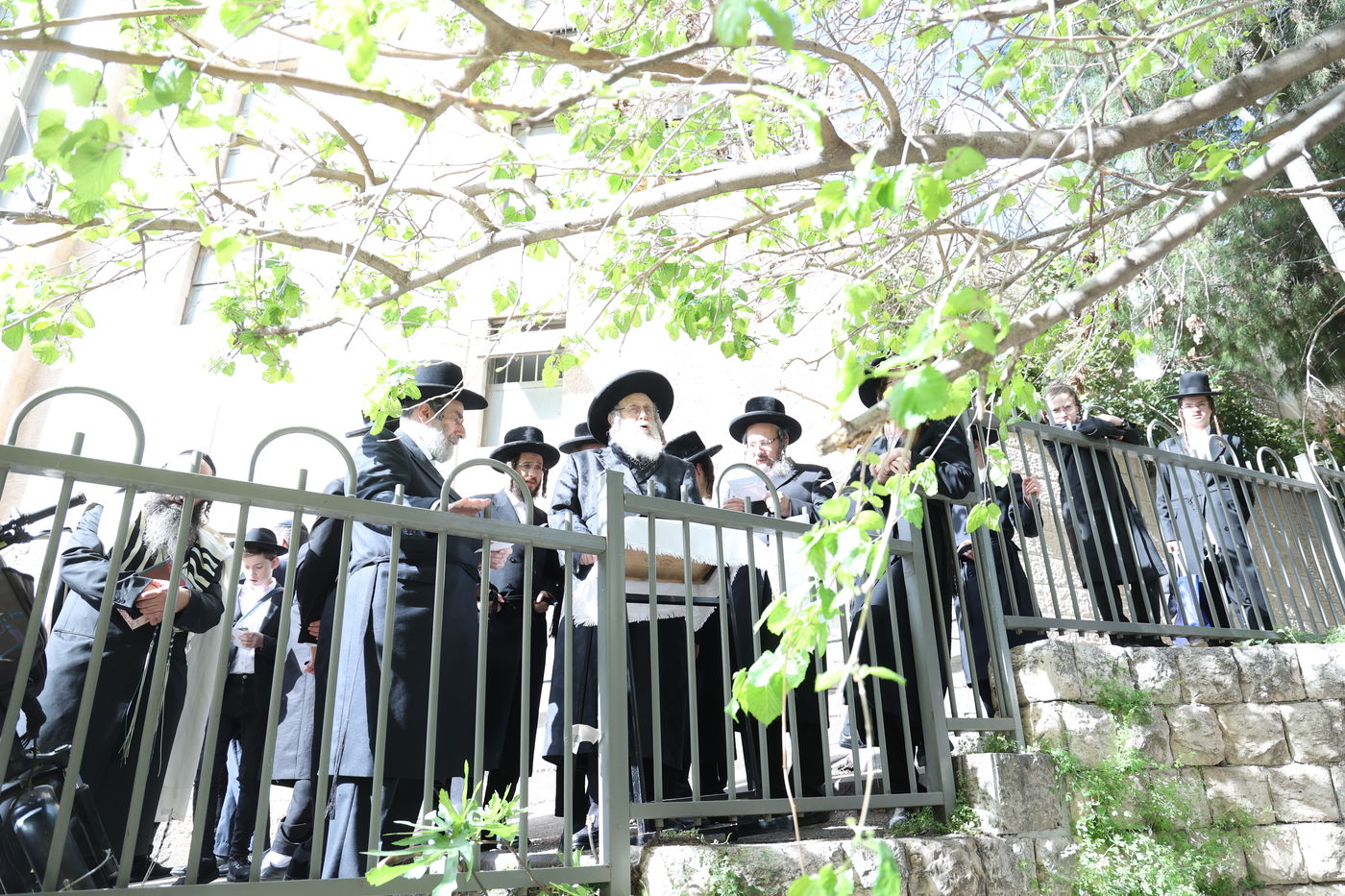 האדמו"ר מקומרנא בברכת האילנות