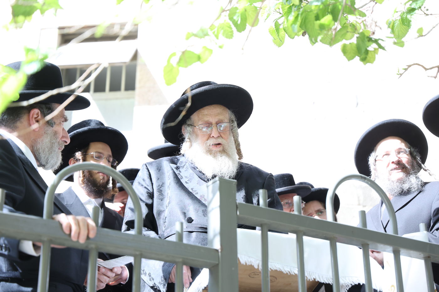 האדמו"ר מקומרנא בברכת האילנות