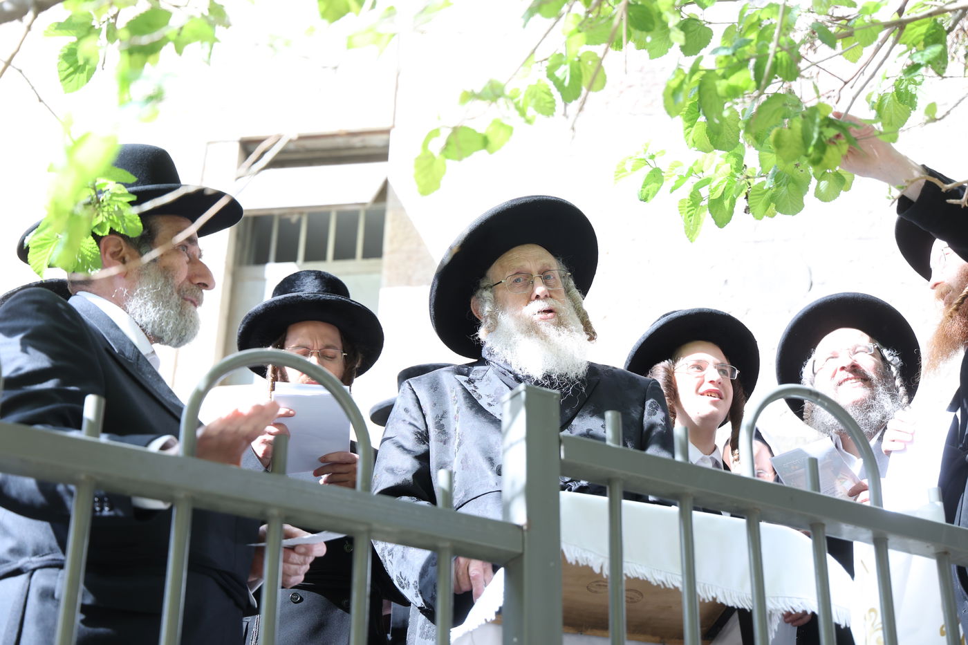 האדמו"ר מקומרנא בברכת האילנות