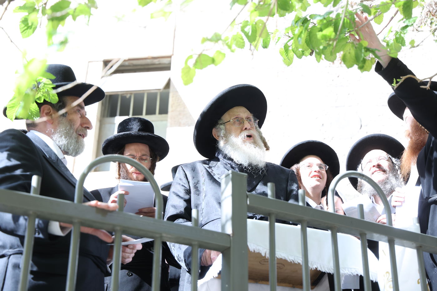 האדמו"ר מקומרנא בברכת האילנות