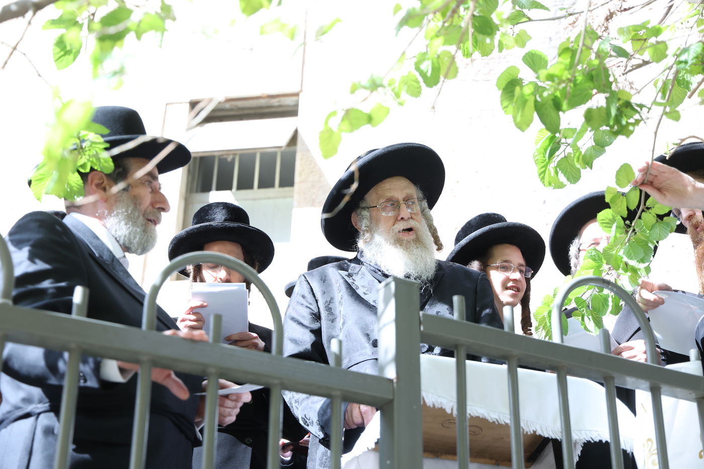 האדמו"ר מקומרנא בברכת האילנות