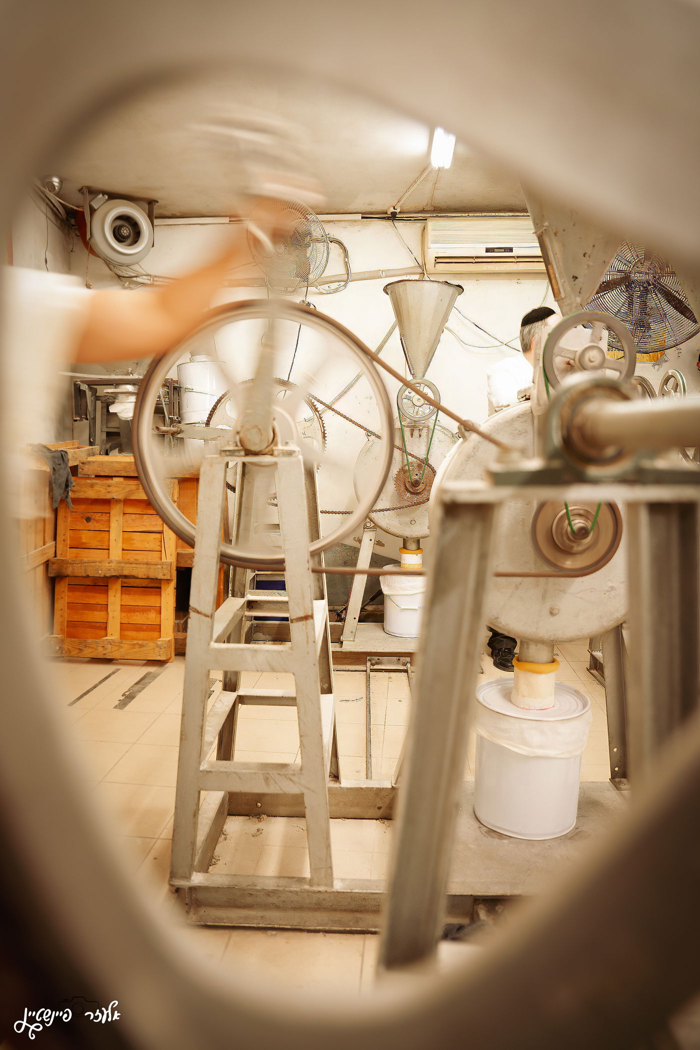 טחינת חיטים בבני ברק