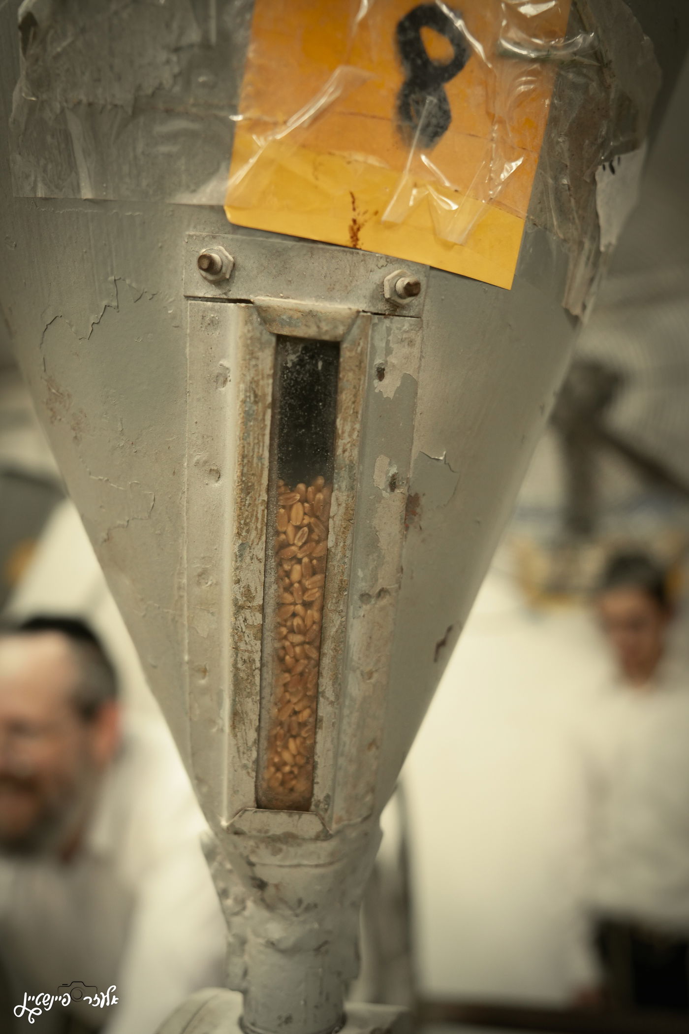 טחינת חיטים בבני ברק