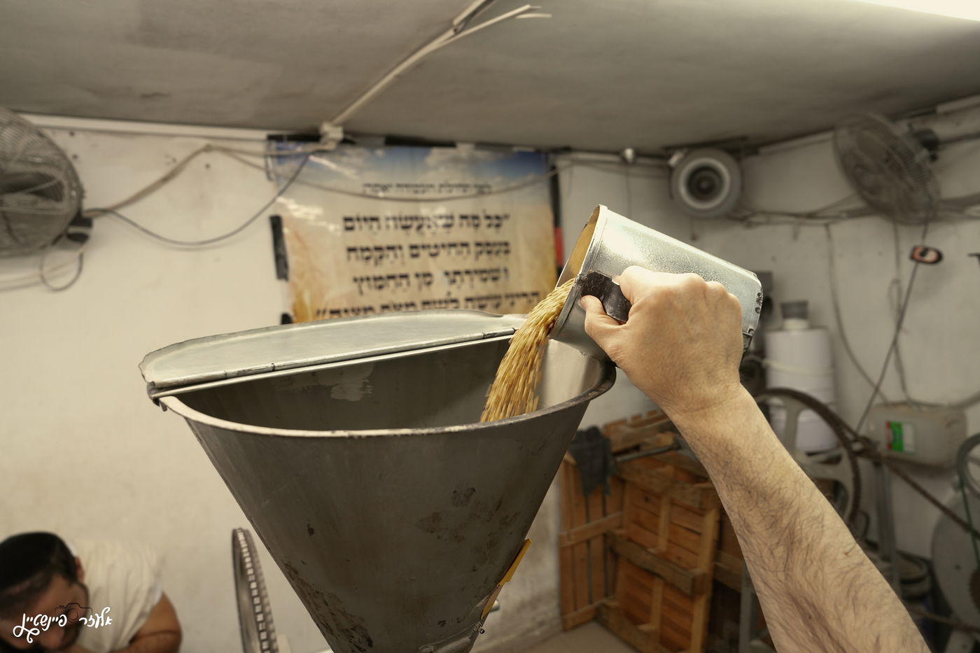 טחינת חיטים בבני ברק