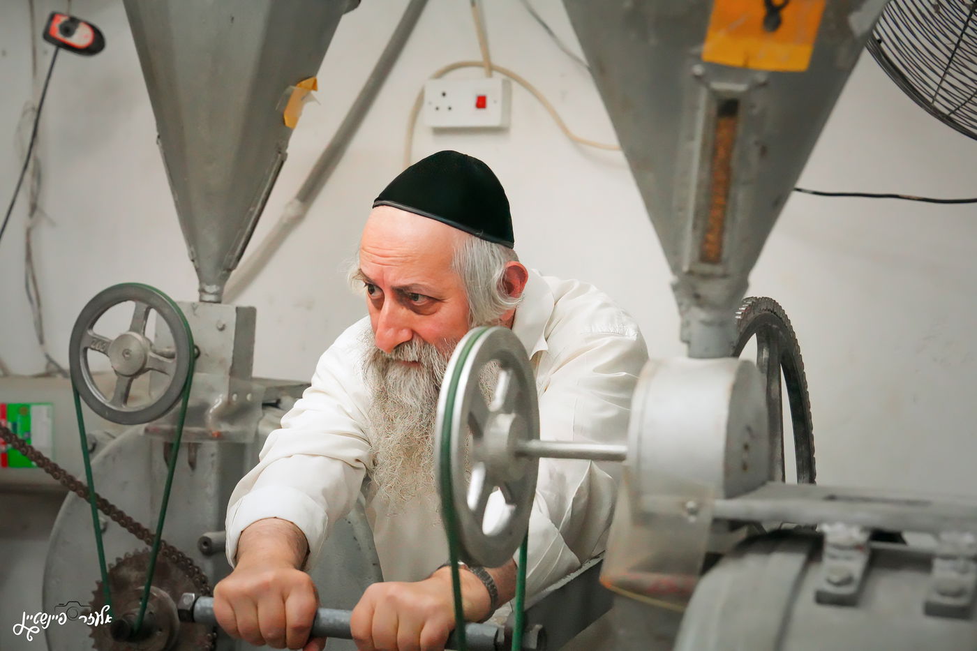 טחינת חיטים בבני ברק