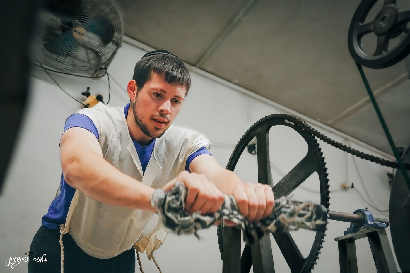 טחינת חיטים בבני ברק