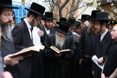 האדמו"ר מסערדאהעלי בברכת אילנות