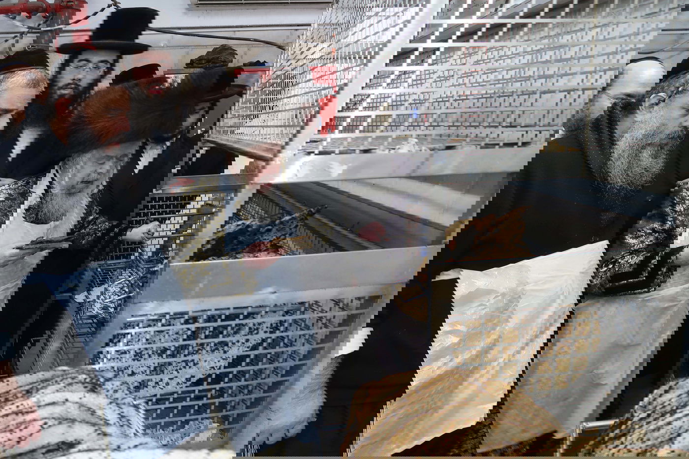 האדמו"ר מקרעטשניף סיגעט בהפרשת חלה