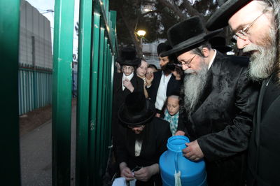 בדלי כחול: כך שאב הרבי מ'שבט הלוי' את המים שלנו