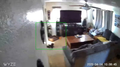 הרעידה, היום