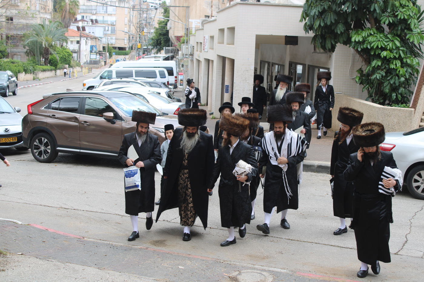 האדמו"ר מזוטשקא בברכת האילנות