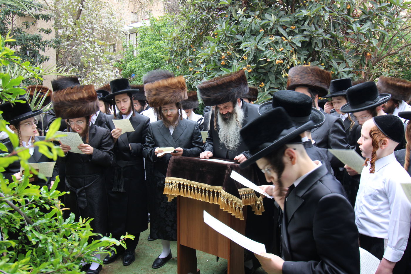 האדמו"ר מזוטשקא בברכת האילנות