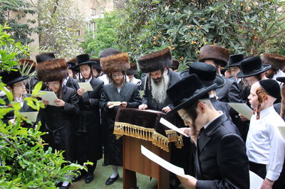 האדמו"ר מזוטשקא בברכת האילנות