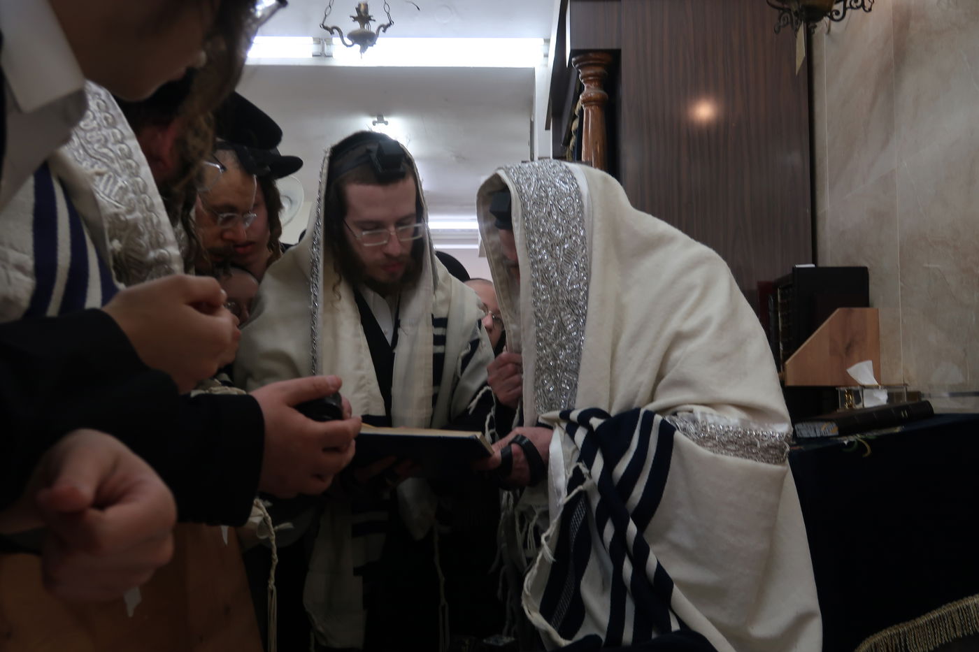 האדמו"ר ממחנובקא בעלזא בסיום בכורים ערב פסח