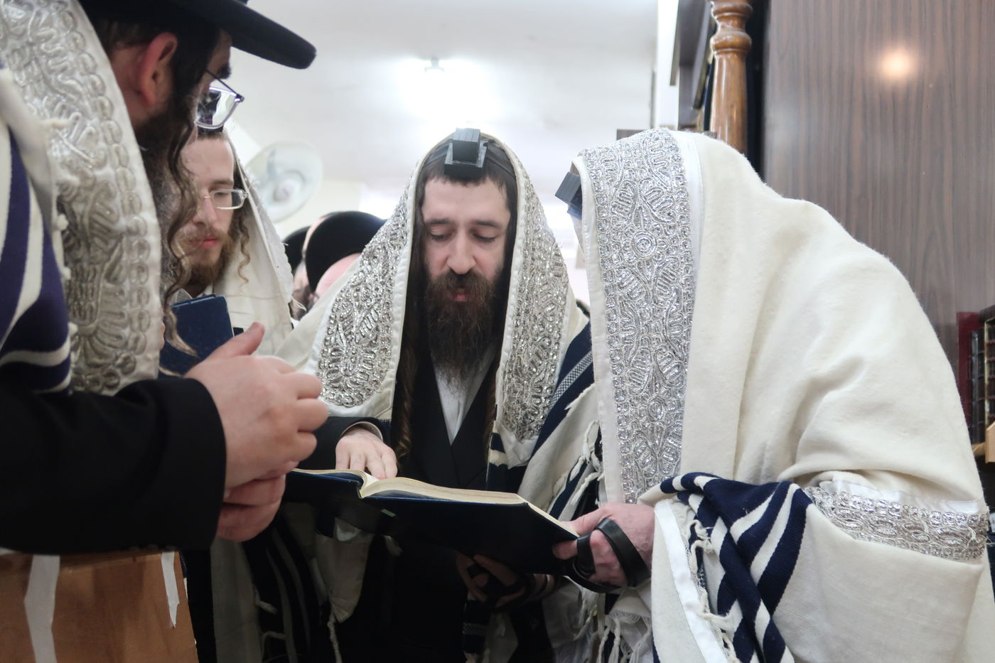 האדמו"ר ממחנובקא בעלזא בסיום בכורים ערב פסח