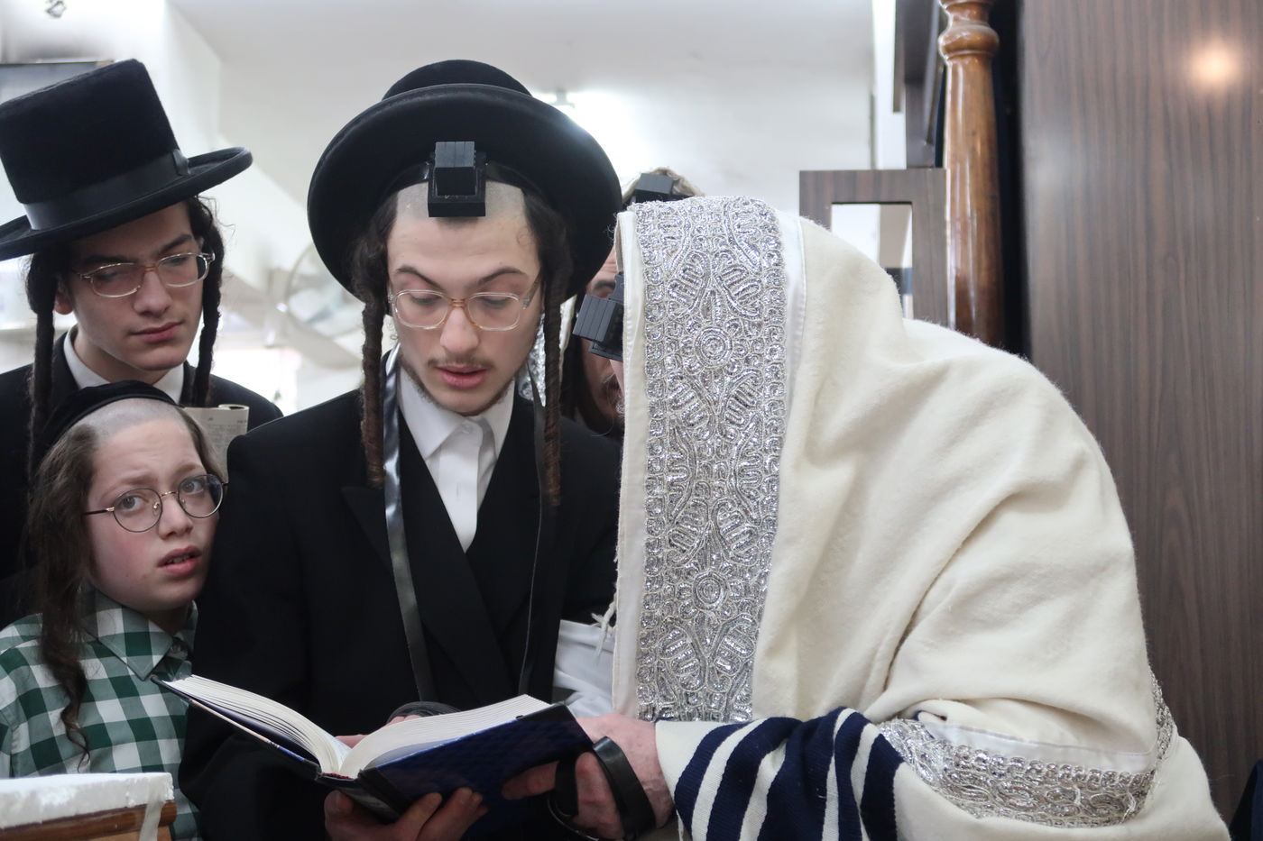 האדמו"ר ממחנובקא בעלזא בסיום בכורים ערב פסח