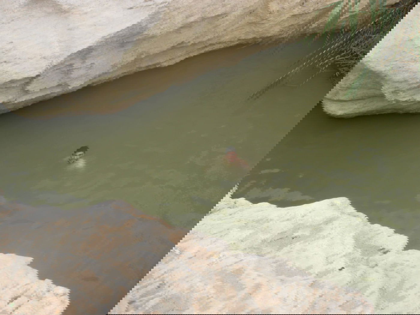 שמורת עין ירקעם