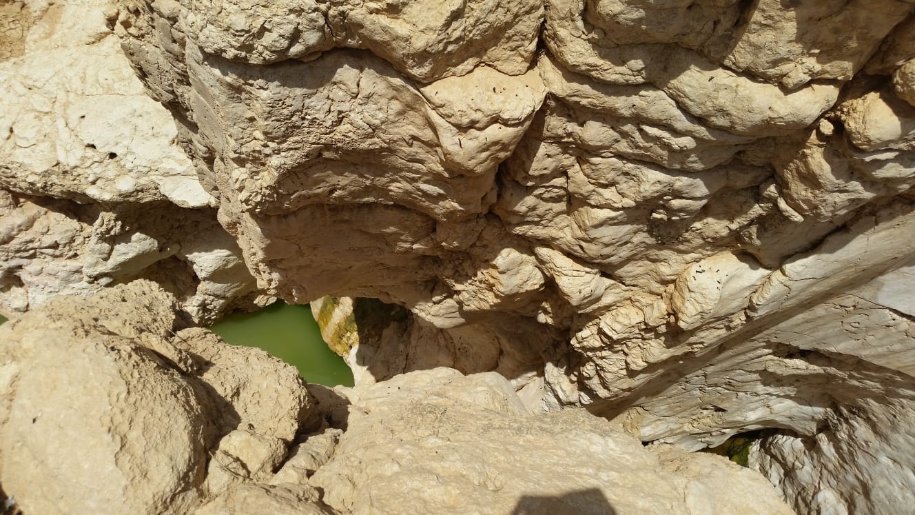 שמורת עין ירקעם