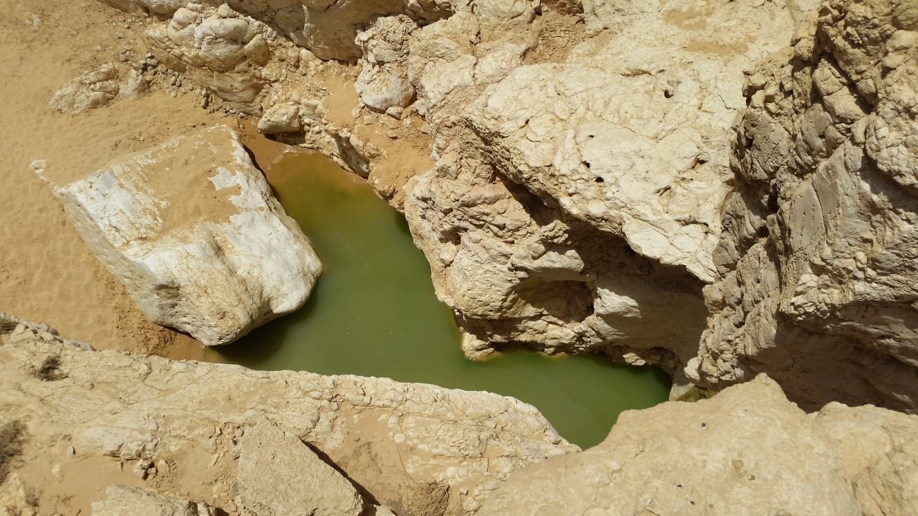 שמורת עין ירקעם