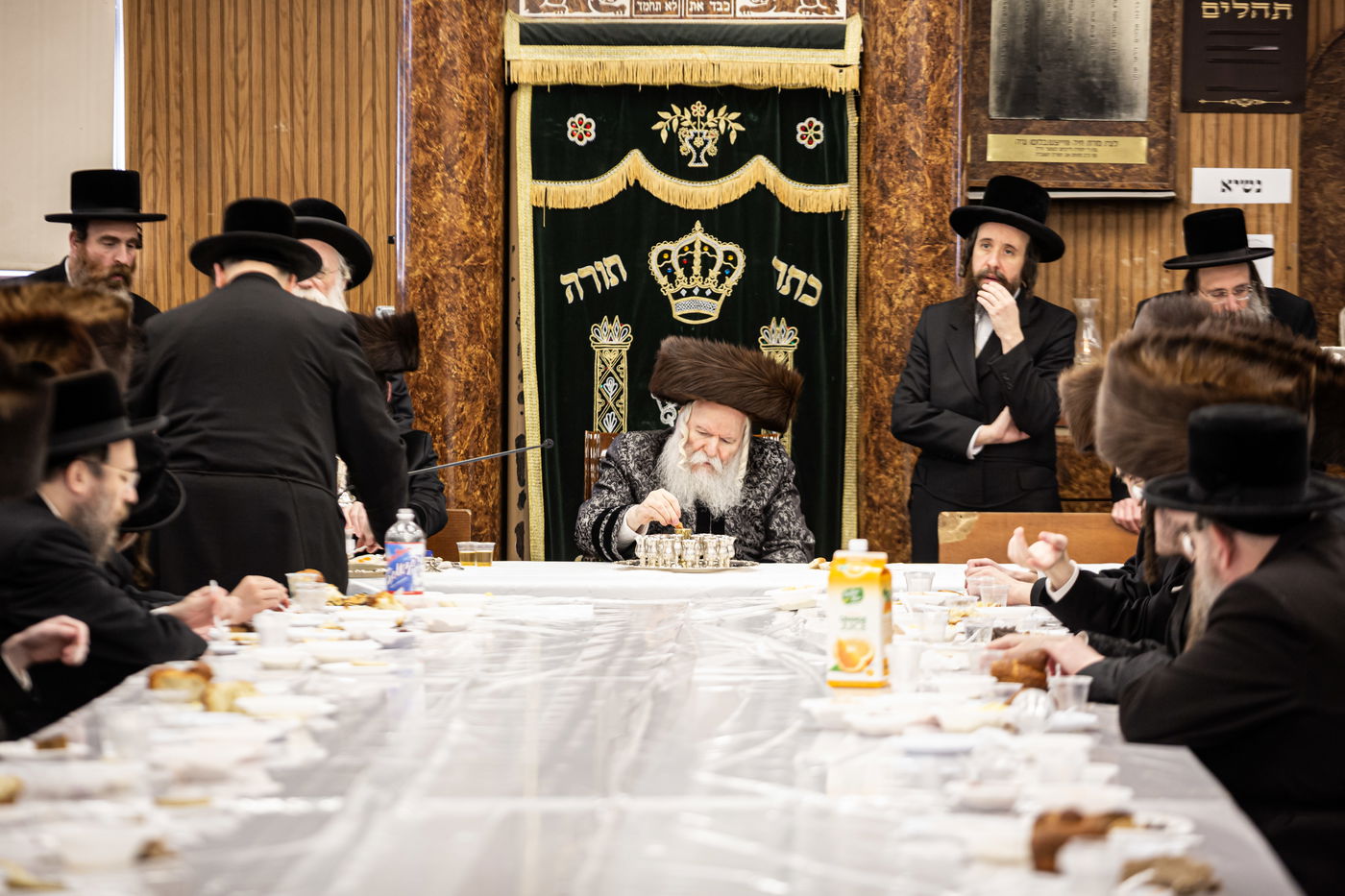 שמחת הברית לנכד האדמו"ר מבאבוב