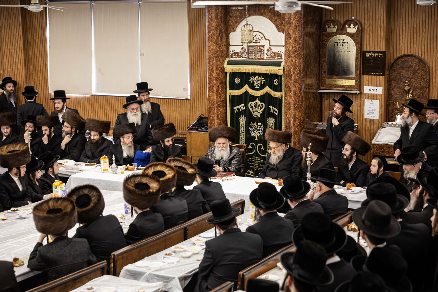 שמחת הברית לנכד האדמו"ר מבאבוב