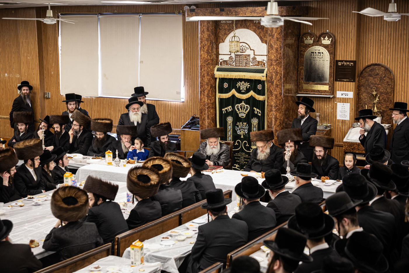 שמחת הברית לנכד האדמו"ר מבאבוב