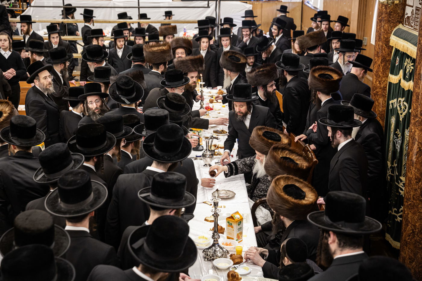 שמחת הברית לנכד האדמו"ר מבאבוב