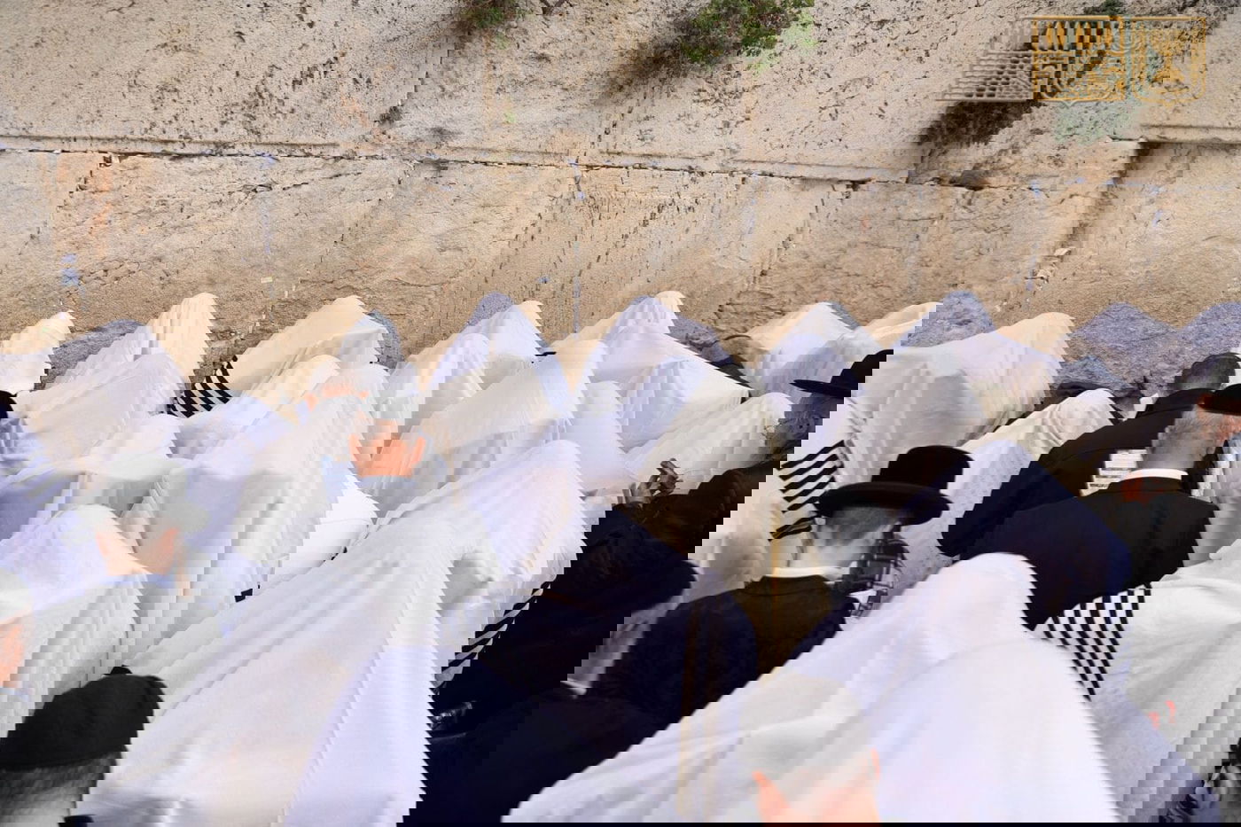 ברכת הכהנים תשפ"ה