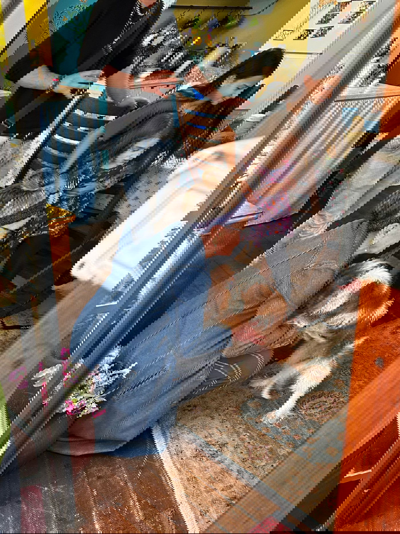 הושבה לבעליה