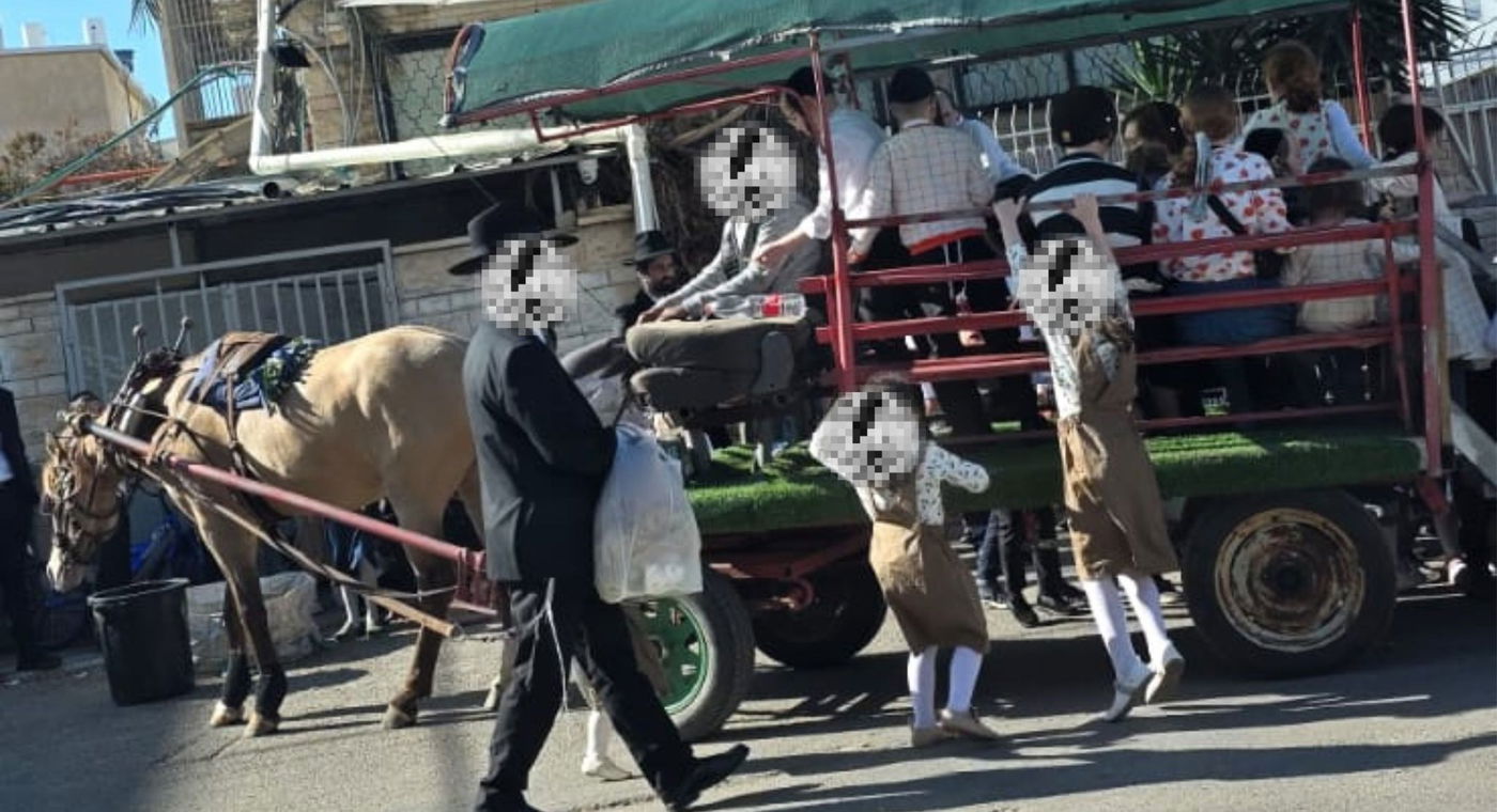 הסוס ועגלה שפעלו באופן פיראטי