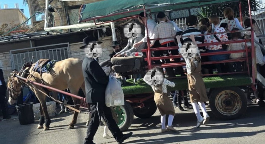 הסוס ועגלה שפעלו באופן פיראטי