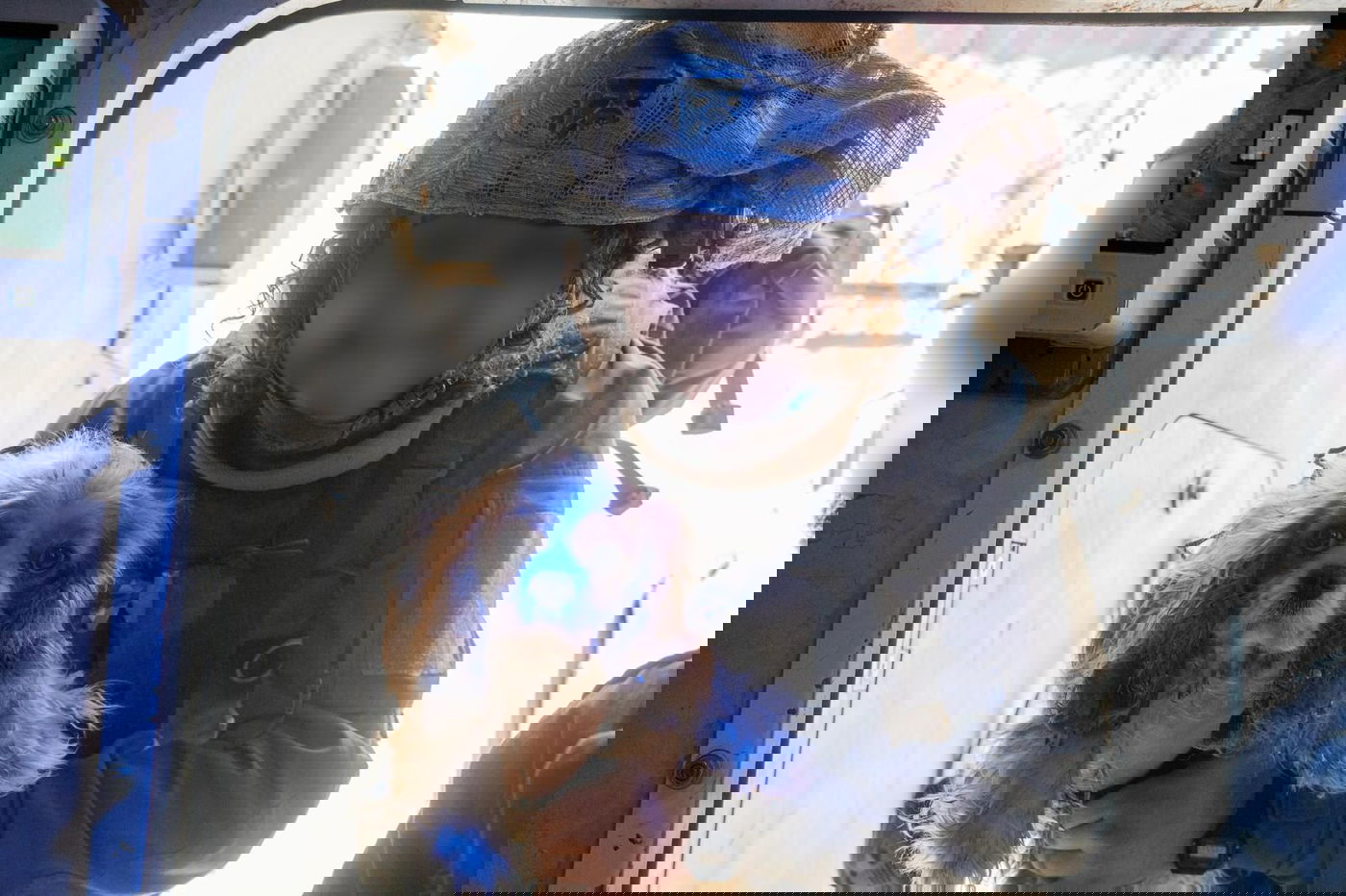 הושבה לבעליה